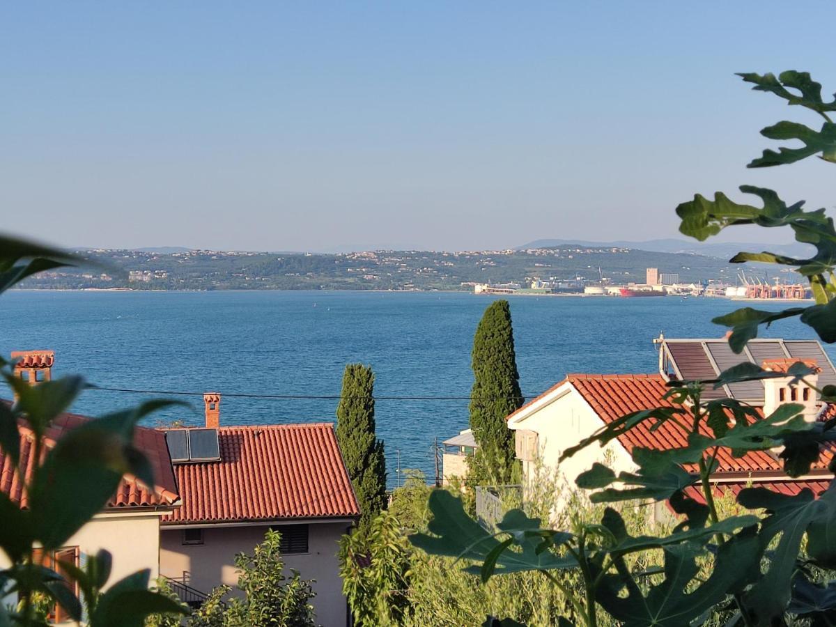 Apartment Rea Koper Zewnętrze zdjęcie